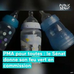 PMA pour toutes : le Sénat donne son feu vert en commission