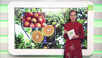 Bản tin 3 sạch – 08/01/2020
