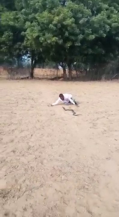 सांप पकड़ने का ये देसी तरीका आपने पहले कभी नही देखा होगा  | ₹30 के पव्वे के आगे सब फेल  |