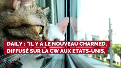 Charmed : une fan devient hystérique et se roule par terre en voyant Holly Marie Combs