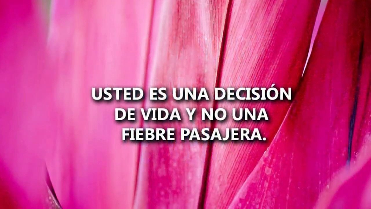 Cada día TE AMO más ♥ Vide de Amor para dedicar