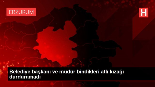 Erzurum'da bir garip olay! Belediye başkanını at kaçırdı