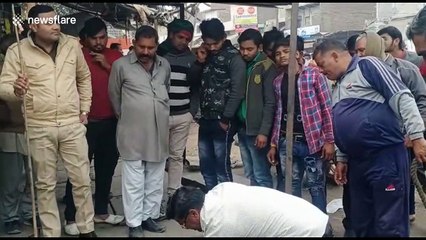 Bull rescued with crane after falling into 8-foot-trench in north India