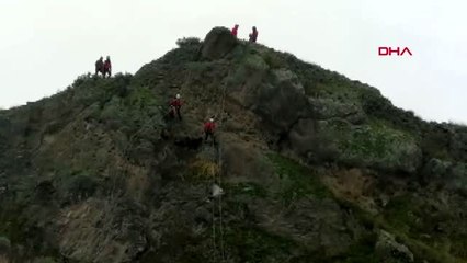Çorum kayalıklara mahsur kalan keçi ve yavruları kurtarıldı