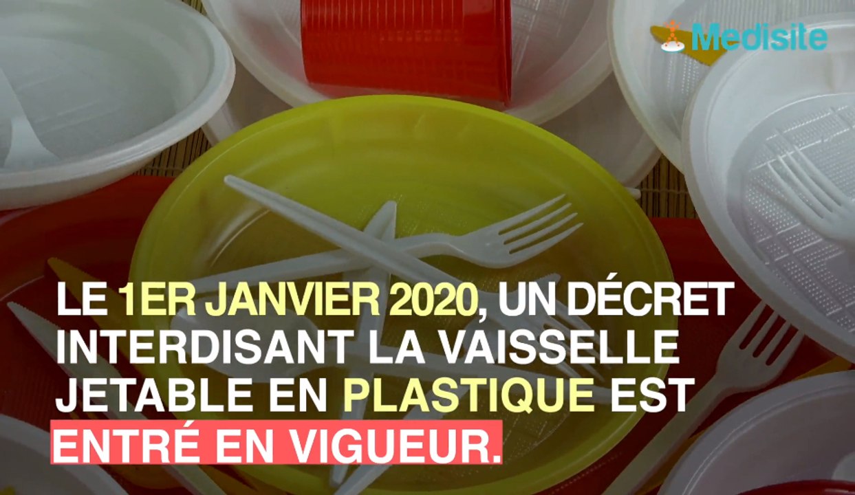 Vaisselle jetable en bambou : gare aux toxines dangereuses !