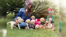 Romina Belluscio aclara la polémica de sus cachorros