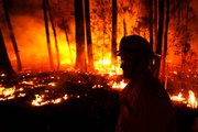 8 Celebrities Who Have Donated to Fight Australia’s Wildfires