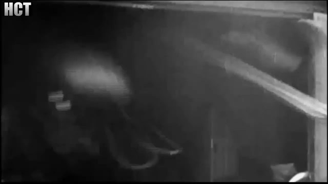 Großdeutsches Reich [1939 - 1945] - Fallschirmschützen tretet an