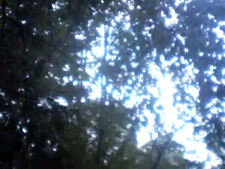 O Mighty Judge vocals