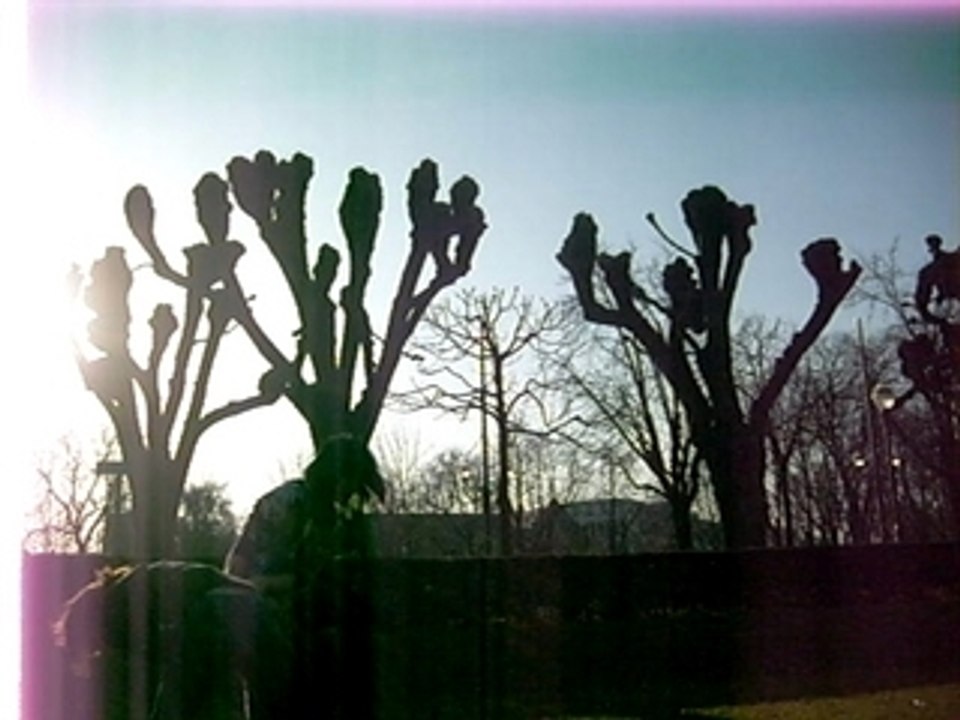 Combat Mawie VS Neko