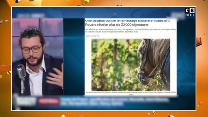 Rouen : Une pétition contre le ramassage scolaire en calèche