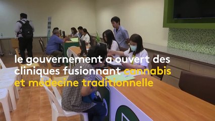 Thaïlande : de l'huile de cannabis pour soigner le cancer