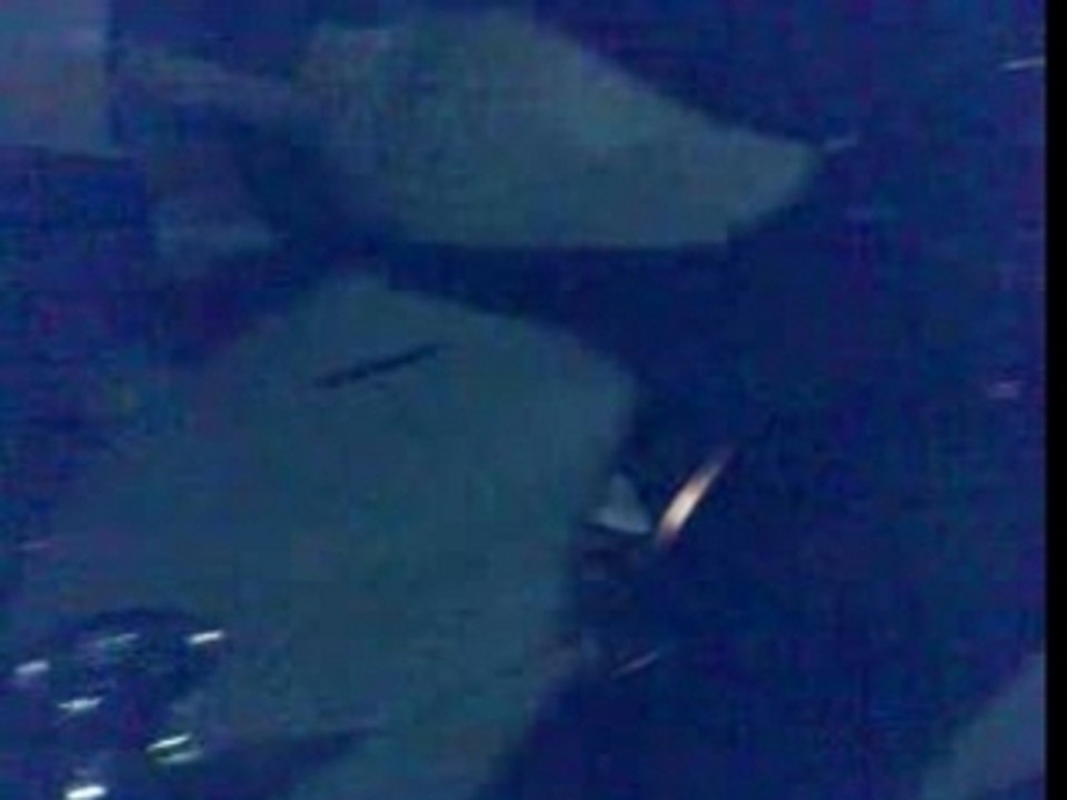 Spitro 70cc Steven