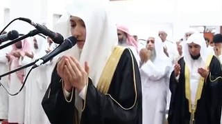 Best Reciting Holy quran