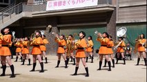 Kyoto Tachibana SHS Band Parade 4K shooting 2019 18th Kyoto Sakura Paree 　Sing Sing Sing is the best