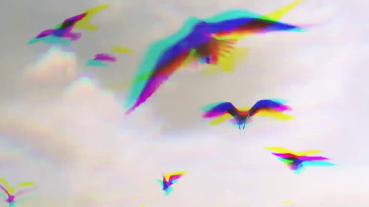 2019 Yannig Ar Bleiz - Adrénaline * Trigone Production