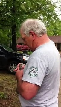 Il remet en liberté un écureuil sur un arbre mais ça ne sa passe pas vraiment comme prévu