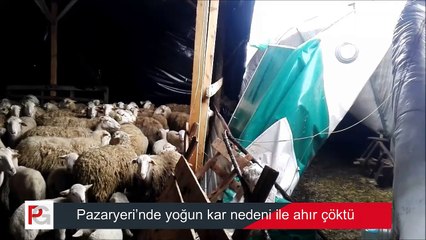 Pazaryeri’nde yoğun kar nedeni ile ahır çöktü