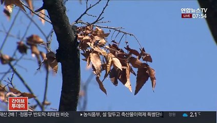 [날씨] 출근길 영하권 추위…중부내륙 먼지 말썽