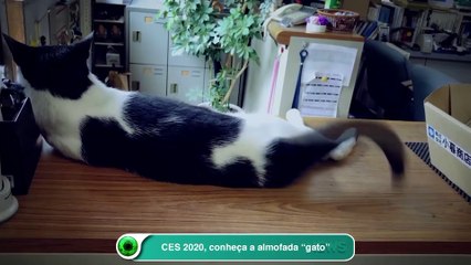 CES 2020, conheça a almofada “gato”