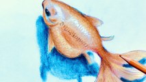 How to draw a Goldfish / 3D art drawing / Sami Gharbi