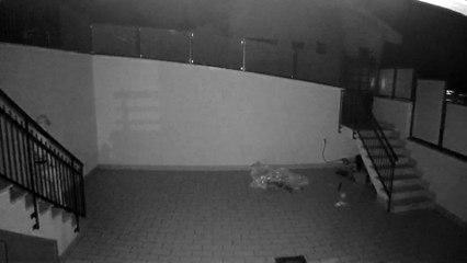 Ladri in azione a Setteville, furto di caldaia a volto scoperto (roma)