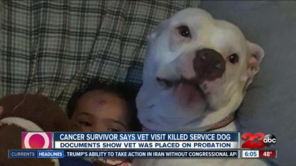 23ABC News at 6 p.m. | Top Stories for January 8, 2020