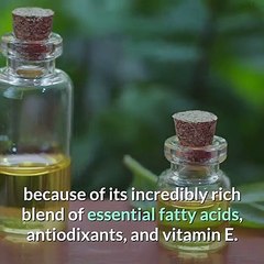 Four Natural Plants Ingredients  Known for their Beautifying Effects