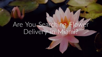 Flower Delivery in Miami | 786-422-5849