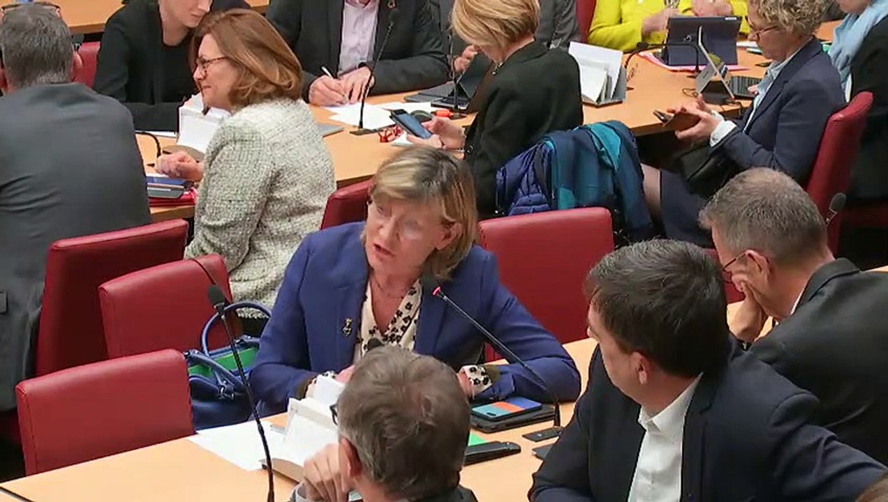Commission des affaires économiques et commission du développement durable : Mme Elisabeth Borne, ministre de la transition écologique et solidaire, sur l’avenir de la filière nucléaire - Mercredi 8 janvier 2020