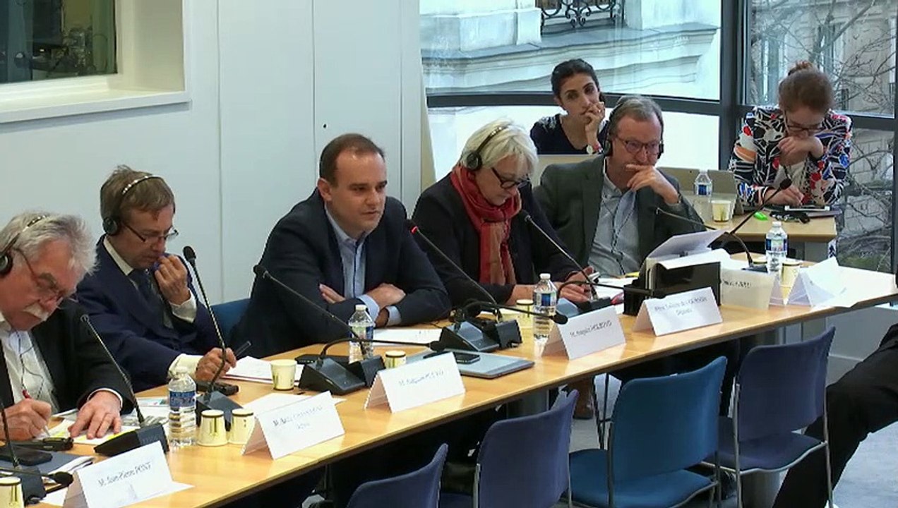 Commission des affaires européennes : Réunion commune avec une délégation de la Tweede Kamer (Pays-Bas) - Mercredi 8 janvier 2020