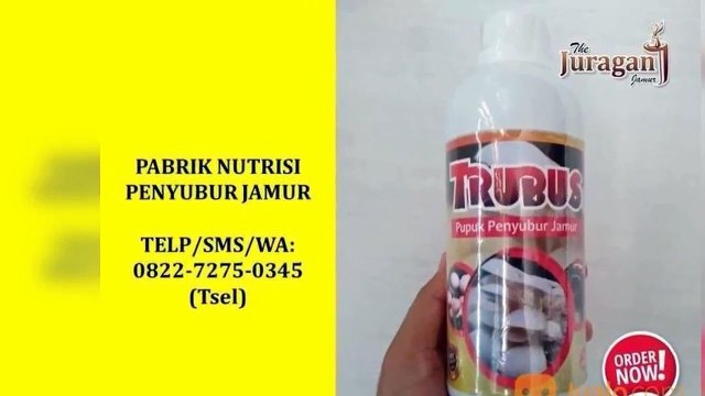 MANJUR!! Telp: 0822-7275-0345(Tsel), Toko Nutrisi Jamur Tiram Bojonegoro