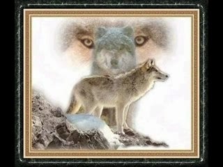 DANSE AVEC LES LOUPS