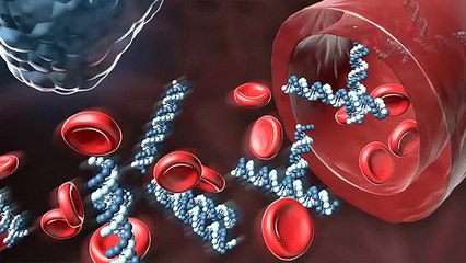 Aap apni umar kese bada sakte hai.