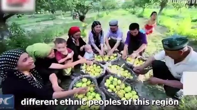 Doğu Perinçek Çin basınını ayağa kaldırdı!