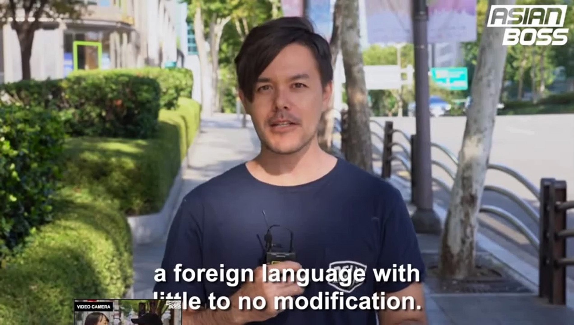 ⁣Can Japanese Speak In Pure Japanese?