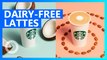 Starbucks introduces new nondairy drinks, tests oat milk
