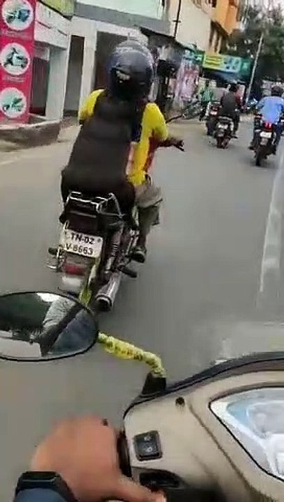 Dog wears helmet while riding a bike - Video