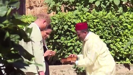 هاري وميغن يتنازلان عن مهماتهما في العائلة البريطانية المالكة