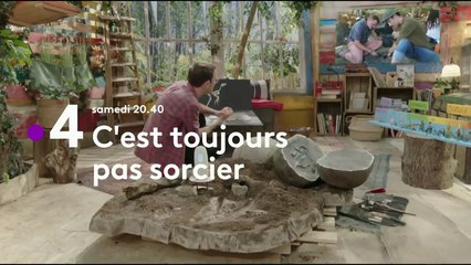 C'est toujours pas sorcier - Que reste-il des dinosaures ?
