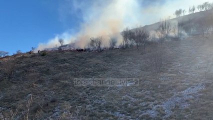 Zjarr në malin e Karaburunit, rrezikohet pylli i Llogorasë/ Zjarrfikësit s’shkojnë dot me automjet