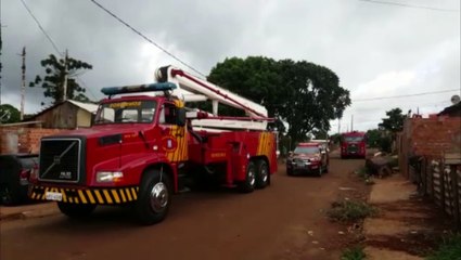 Bombeiros são mobilizados para corte de árvore no Melissa