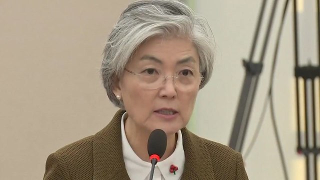 강경화 호르무즈 파병, 미국과 입장 반드시 같을 수 없다 / YTN