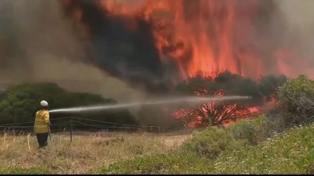 Australians urged to evacuate as monster bushfires regenerate