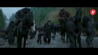 War for the Planet of the apes#