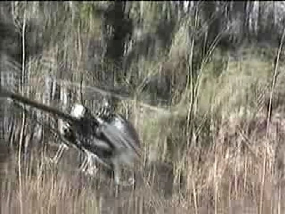 Helico à vincennes