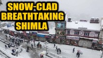 Snowfall in Shimla: Blanket of snow covers roads, trees & rooftops | Oneindia News