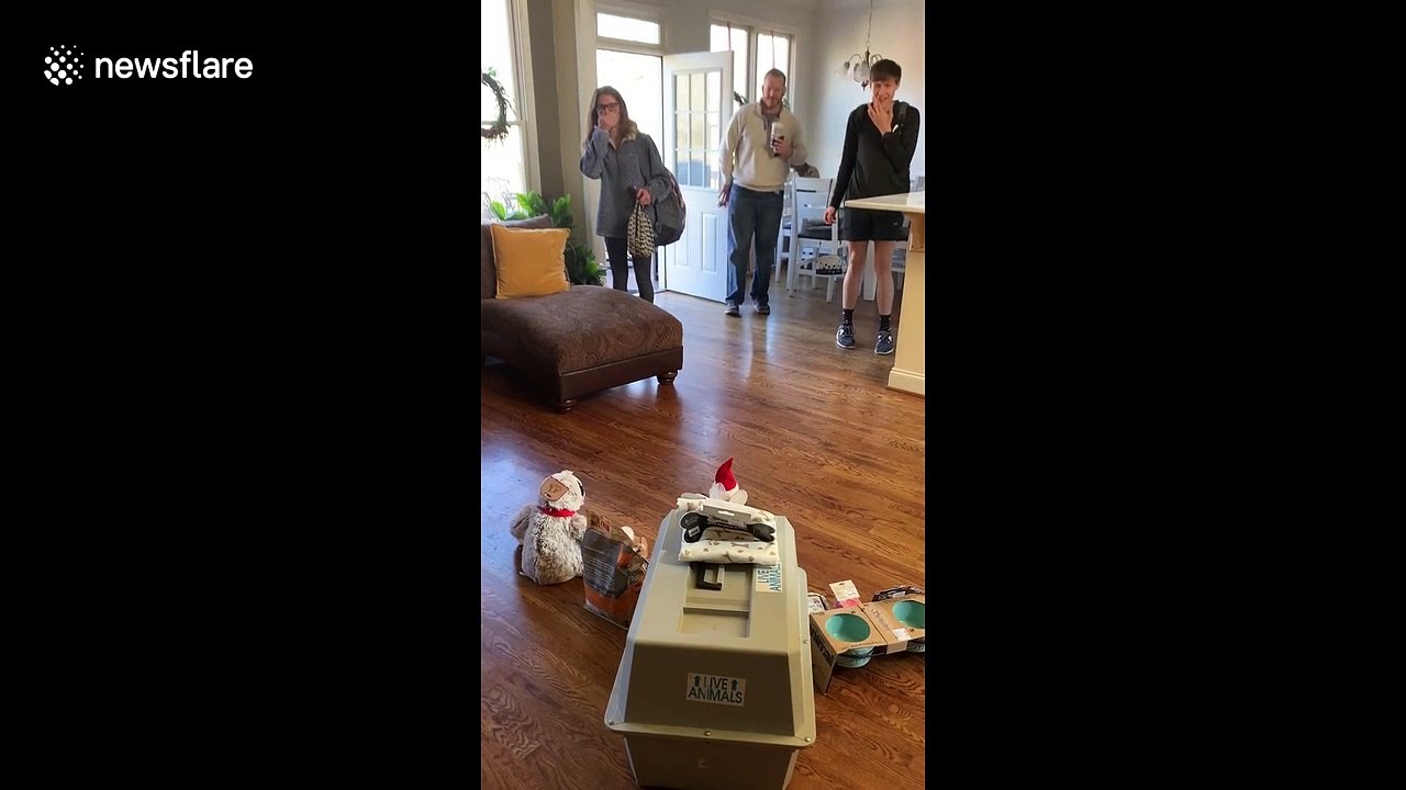 'Her reaction was SO worth it!' After saying no for over a year, US mum surprises daughter with first-ever puppy