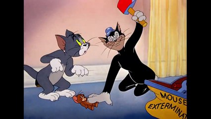 Tom & Jerry\warsi Brothers