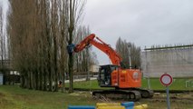 Abattage du haut d'un des peupliers au RDS